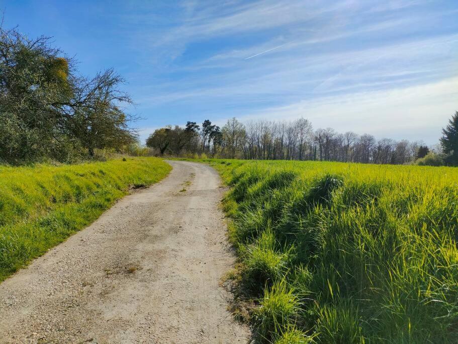 *Gite Aux Grappes Du Pressoir* A 2 Km De Beauval Seigy Exterior photo